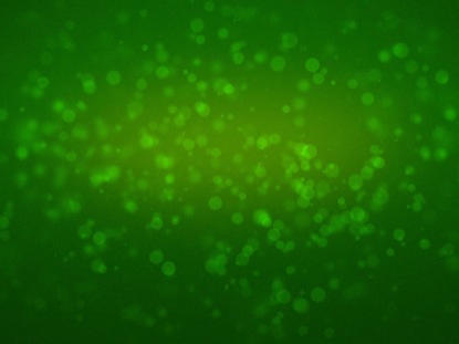 GREEN ROTATING PARTICLES