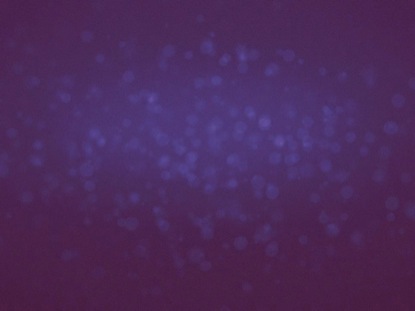 PURPLE SPACE ROTATING PARTICLES