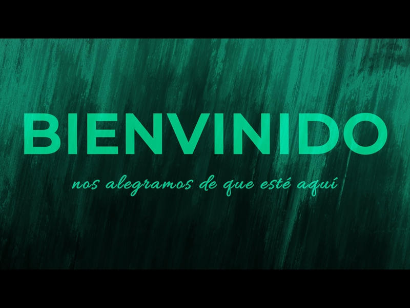 SOMBRAS VERDES ANIMACIÓN DE BIENVENIDA