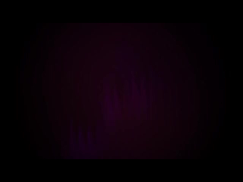 ANOTHER IN THE FIRE LOOP 04