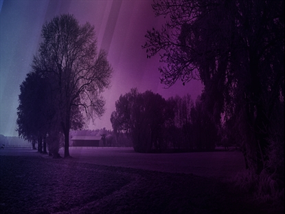 AUTUMN MIST 10 MOTION