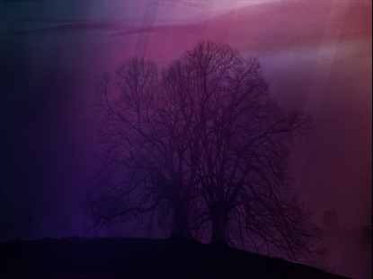 AUTUMN MIST 2 MOTION