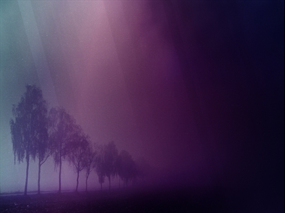 AUTUMN MIST 4 MOTION