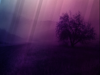 AUTUMN MIST 6 MOTION