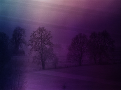 AUTUMN MIST 7 MOTION