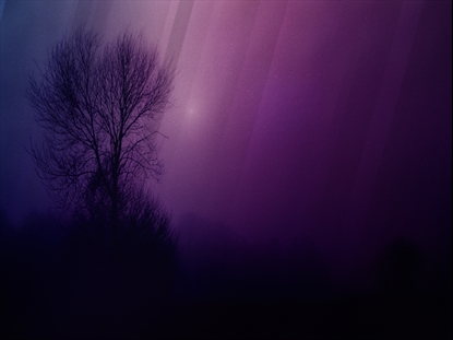 AUTUMN MIST 8 MOTION