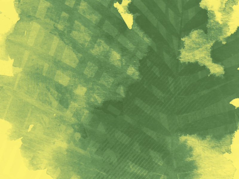 A KING'S WELCOME MOTION 4