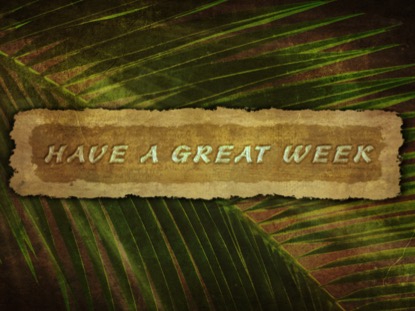 ANCIENT PALM CLOSING 1