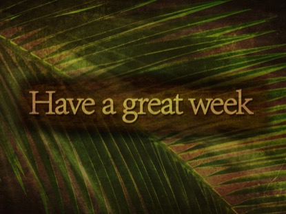 ANCIENT PALM CLOSING 2