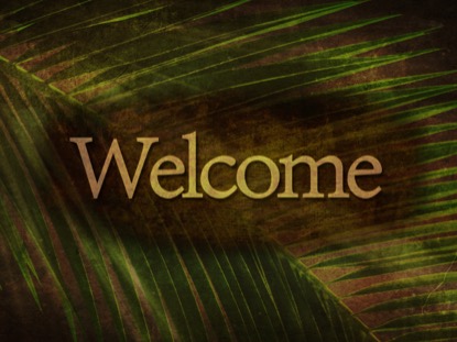 ANCIENT PALM WELCOME 2