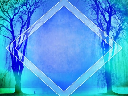 AUTUMN FOREST 3 MOTION