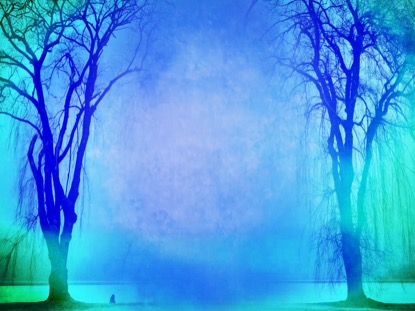 AUTUMN FOREST 4 MOTION