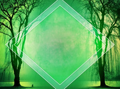 AUTUMN FOREST 5 MOTION