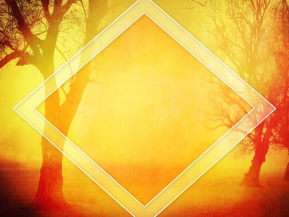 AUTUMN FOREST 7 MOTION