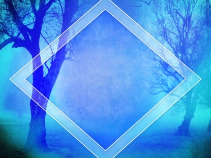 AUTUMN FOREST 9 MOTION