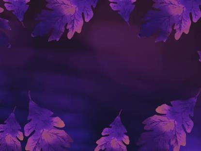 AUTUMN GLOW MOTION 4