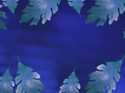 AUTUMN GLOW MOTION 5