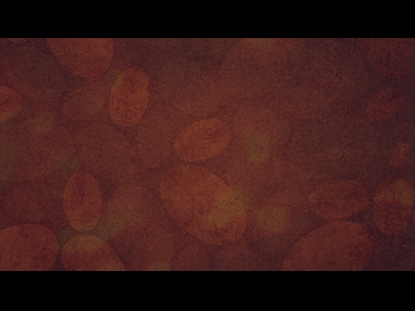 AUTUMN SPICE 11 MOTION