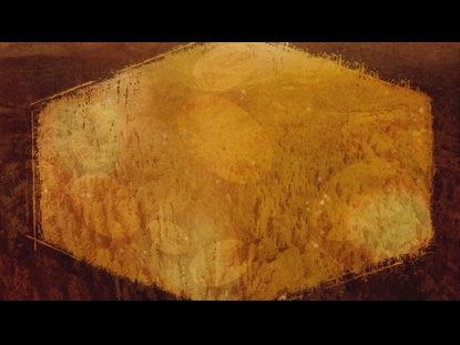 AUTUMN SPICE 4 MOTION