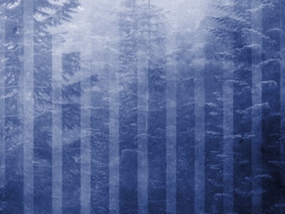 CALMING NATURE BLUE 5 MOTION