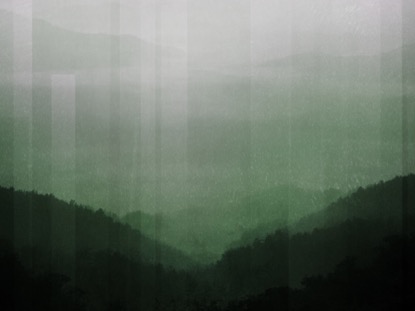 CALMING NATURE GREEN 3 MOTION