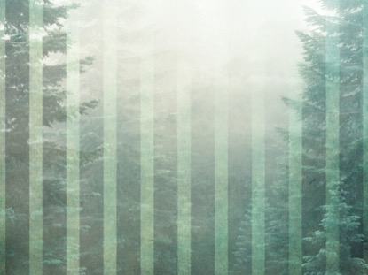 CALMING NATURE GREEN 6 MOTION