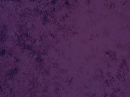 CELEBRATING MARTIN LUTHER KING DAY MOTION 6