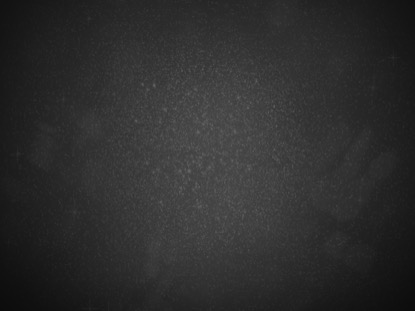 CELEBRATING NEW YEARS 4