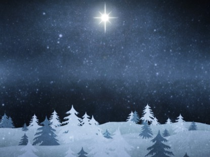 CHRISTMAS FOREST BLUE 1 MOTION