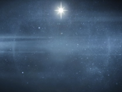 CHRISTMAS FOREST BLUE 3 MOTION