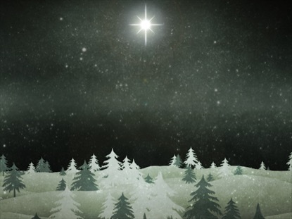 CHRISTMAS FOREST GREEN 1 MOTION