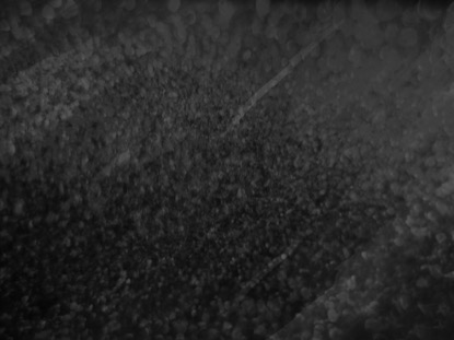 COLOR DYNAMICS MOTION 3