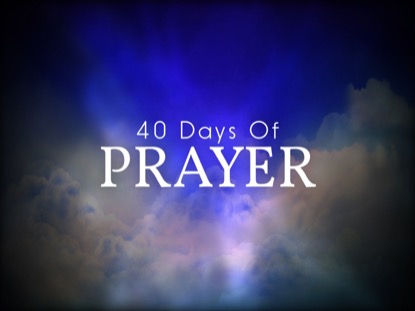 COMFORTING SPIRIT 40 MOTION