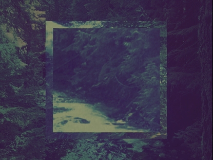 CREATION SINGS 4 MOTION