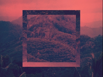 CREATION SINGS 5 MOTION