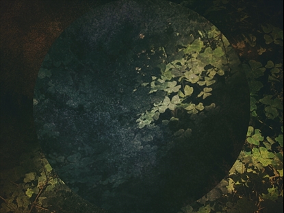 CREATION SINGS 7 MOTION