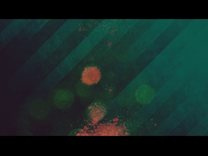 DISCOVER GRACE 10 MOTION