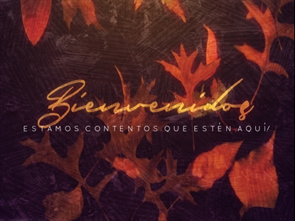 FALL INTO GRACE WELCOME MOTION - SPANISH