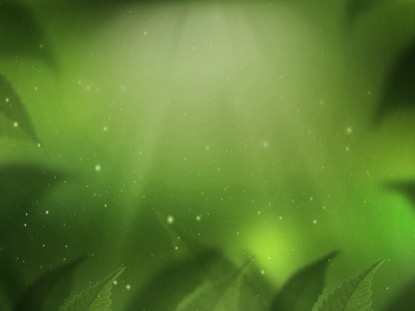 FRESH OUTLOOK MOTION 1