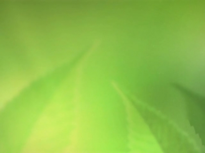 FRESH OUTLOOK MOTION 3