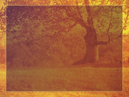 GIVE THANKS 3 MOTION