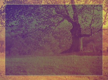 GIVE THANKS 4 MOTION