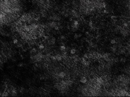 GREYSCALE GLIMMER MOTION 5