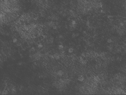 GREYSCALE GLIMMER MOTION 6