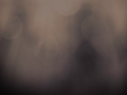 HEAVENLY PALM BRANCHES 2