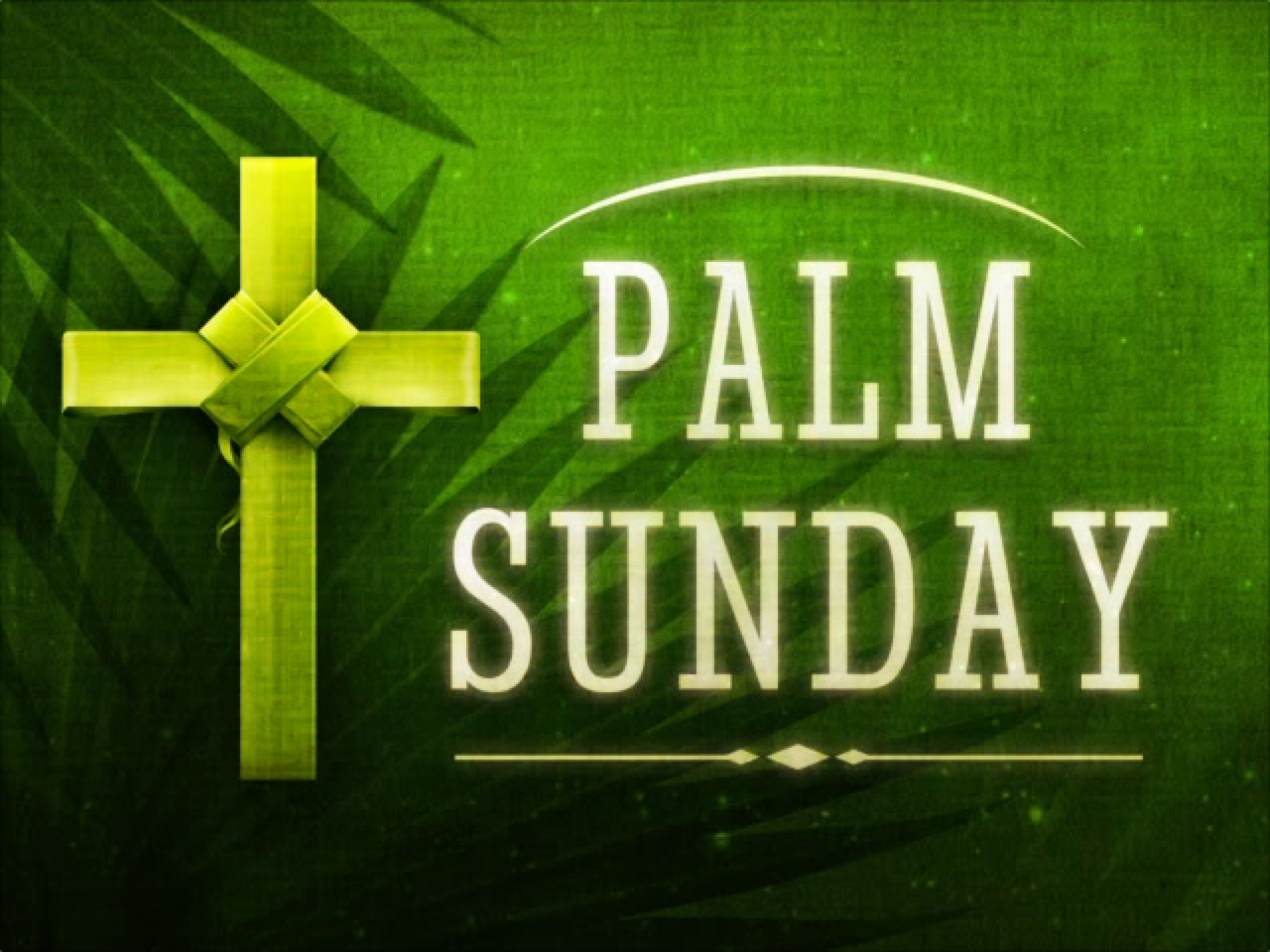HOLY PALMS MOTION 1