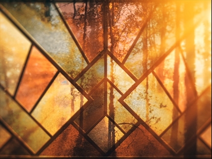 HYMN COLLECTION VOL 2 MOTION 6