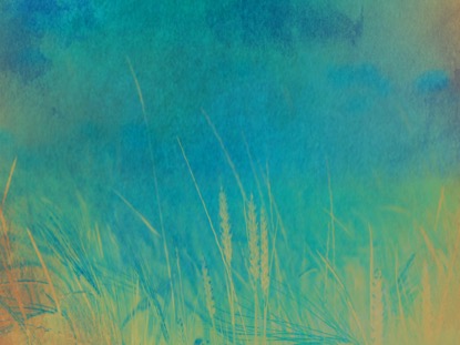 INSPIRING NATURE 2 MOTION