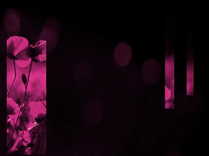 LIGHT OF GRACE 1 MOTION