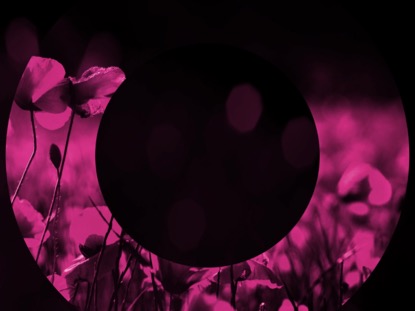 LIGHT OF GRACE 2 MOTION